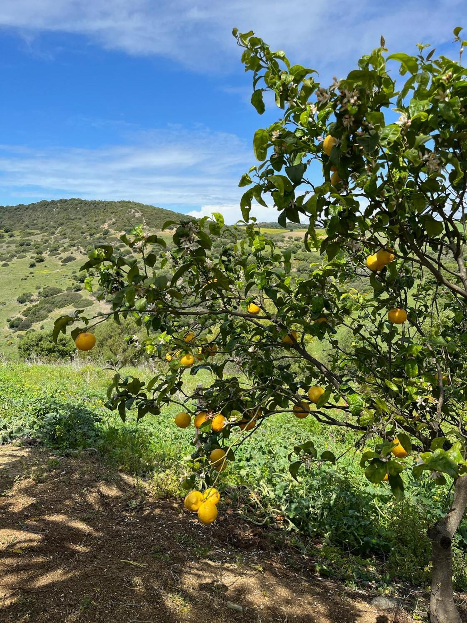 הוילה וחר דה לה פרונטרה Finca La Vina מראה חיצוני תמונה