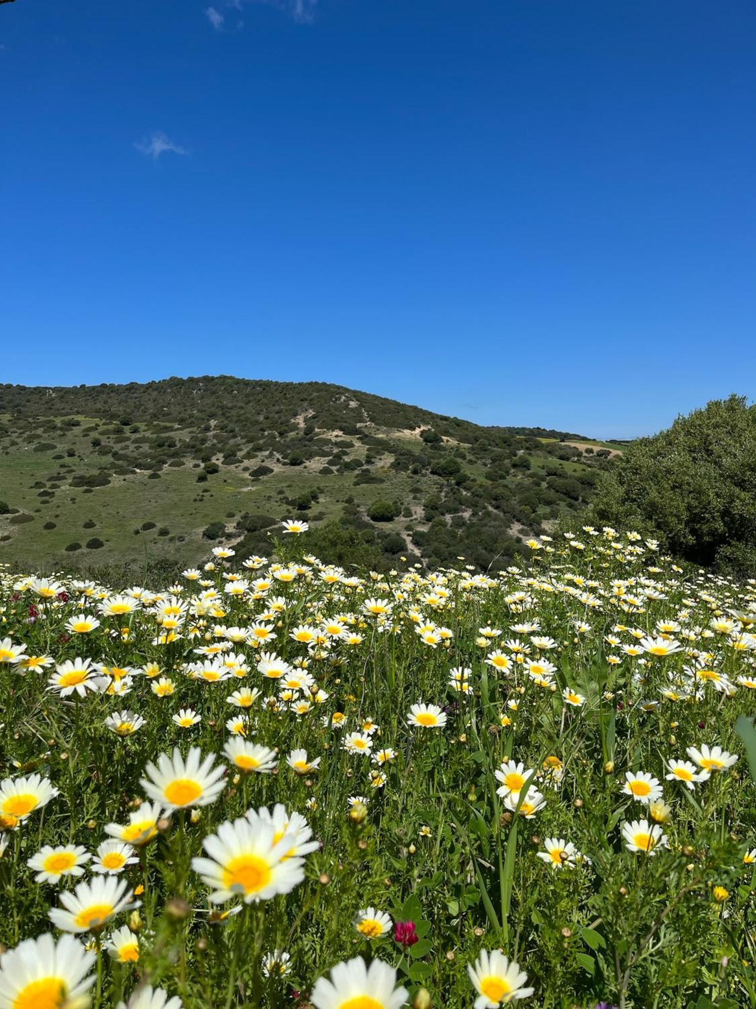 הוילה וחר דה לה פרונטרה Finca La Vina מראה חיצוני תמונה