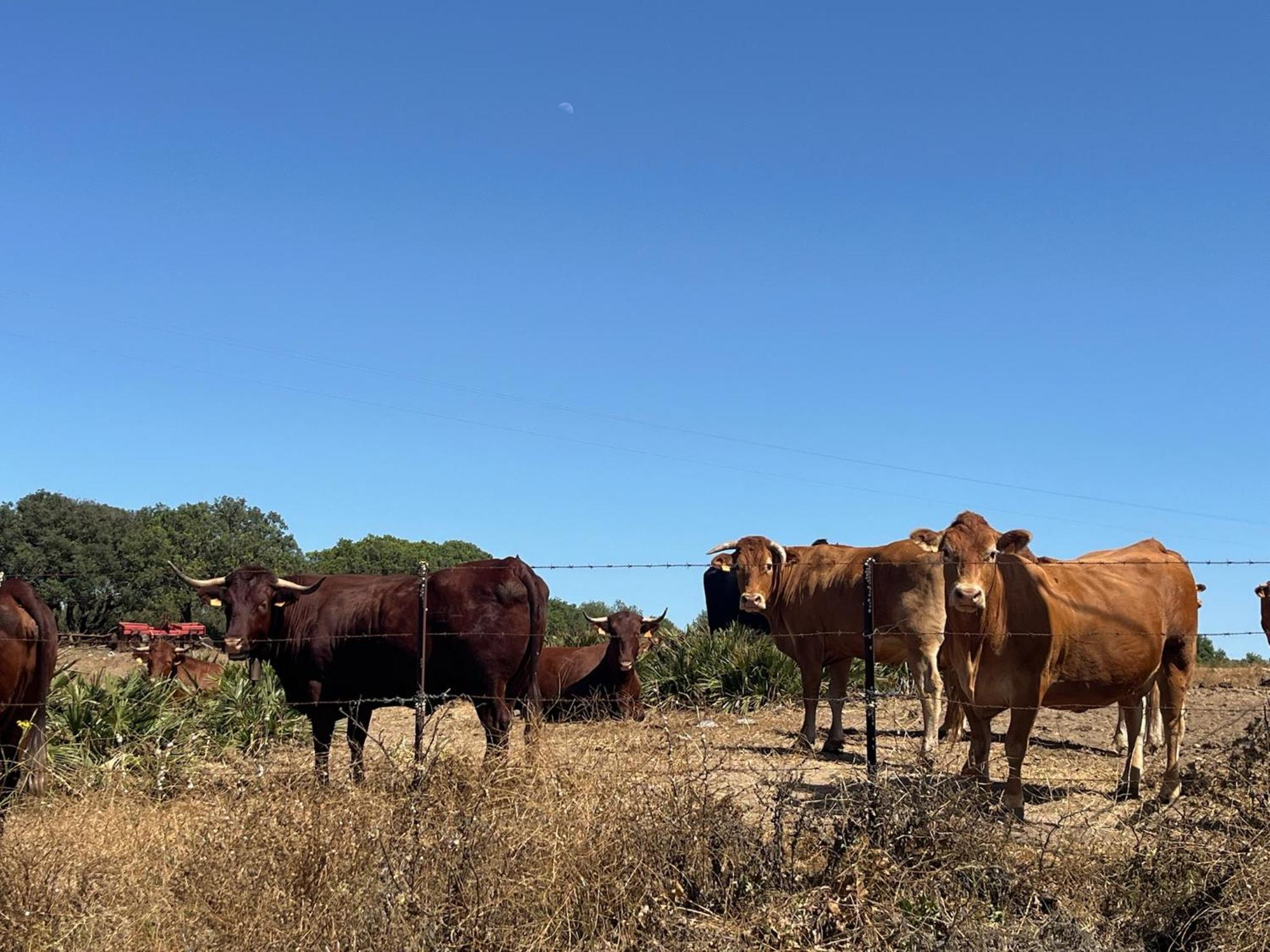 הוילה וחר דה לה פרונטרה Finca La Vina מראה חיצוני תמונה