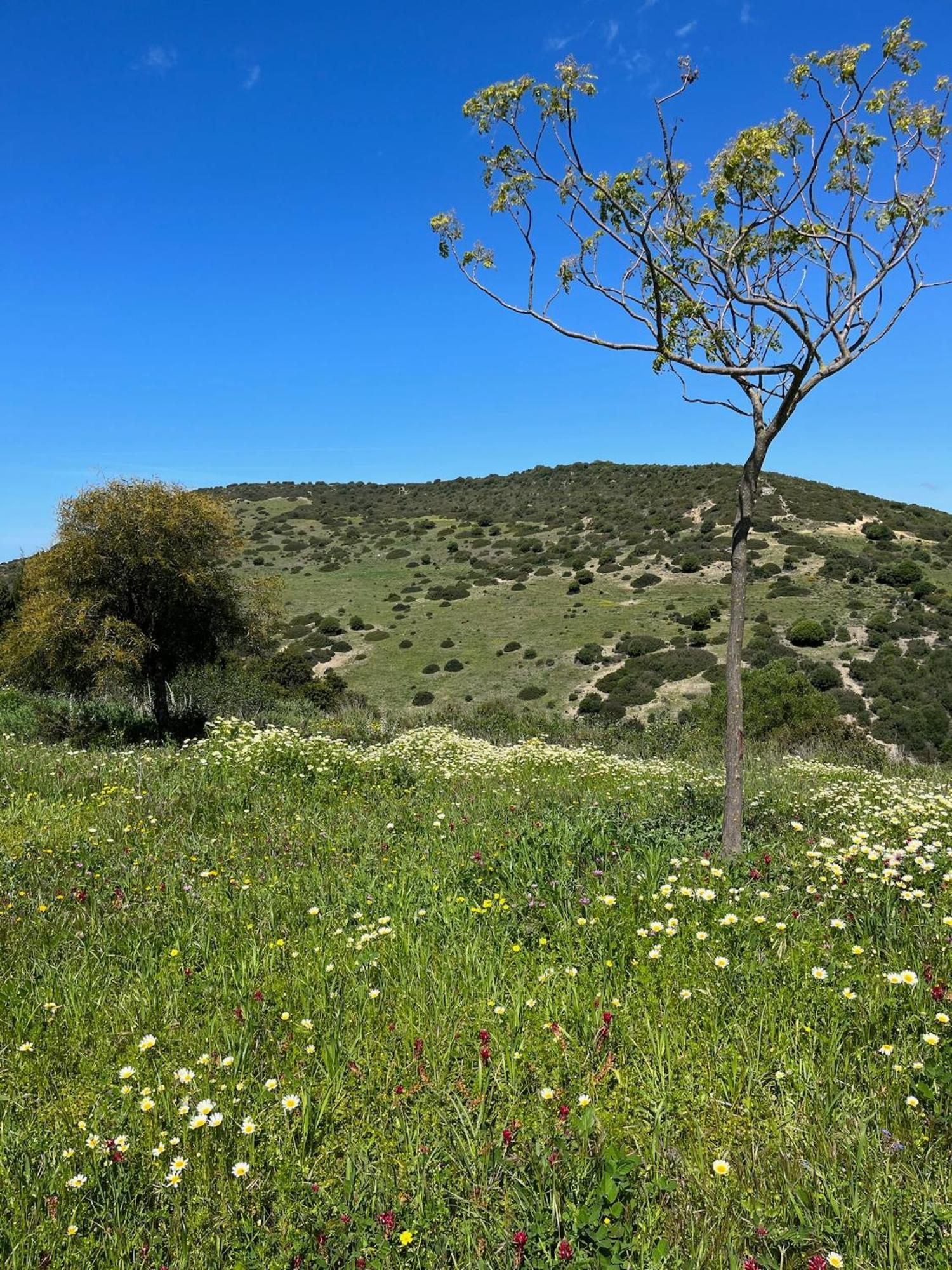 הוילה וחר דה לה פרונטרה Finca La Vina מראה חיצוני תמונה