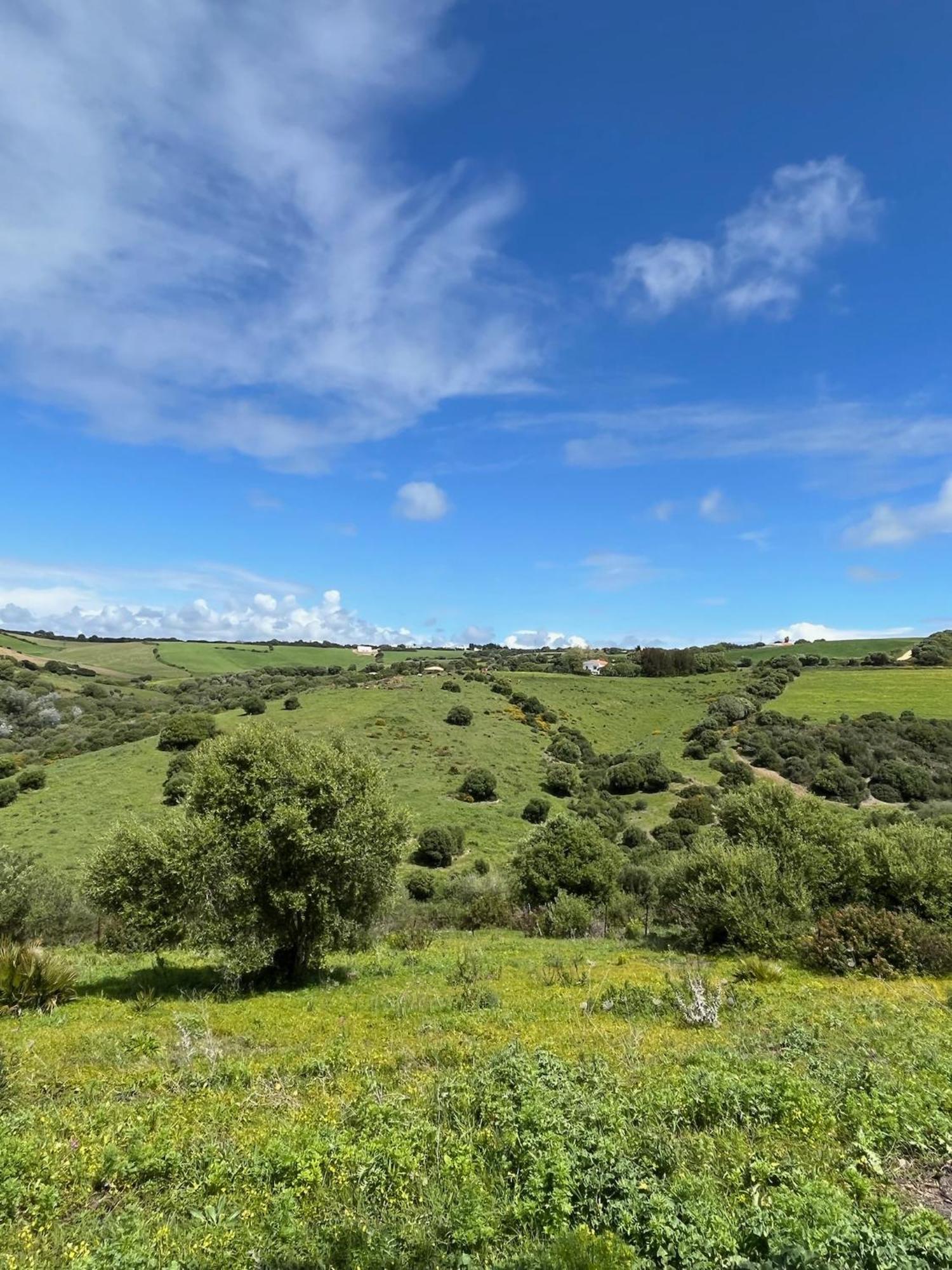 הוילה וחר דה לה פרונטרה Finca La Vina מראה חיצוני תמונה