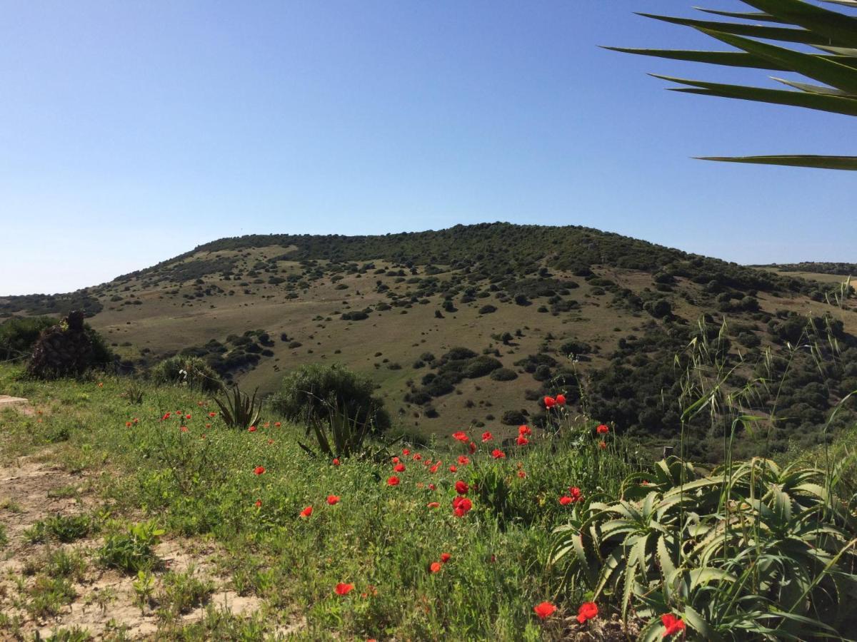 הוילה וחר דה לה פרונטרה Finca La Vina מראה חיצוני תמונה